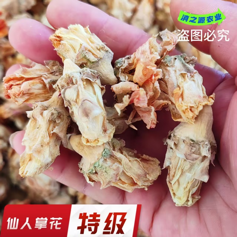 食用仙人掌花养胃中药材仙人掌花茶产地直销批发零售