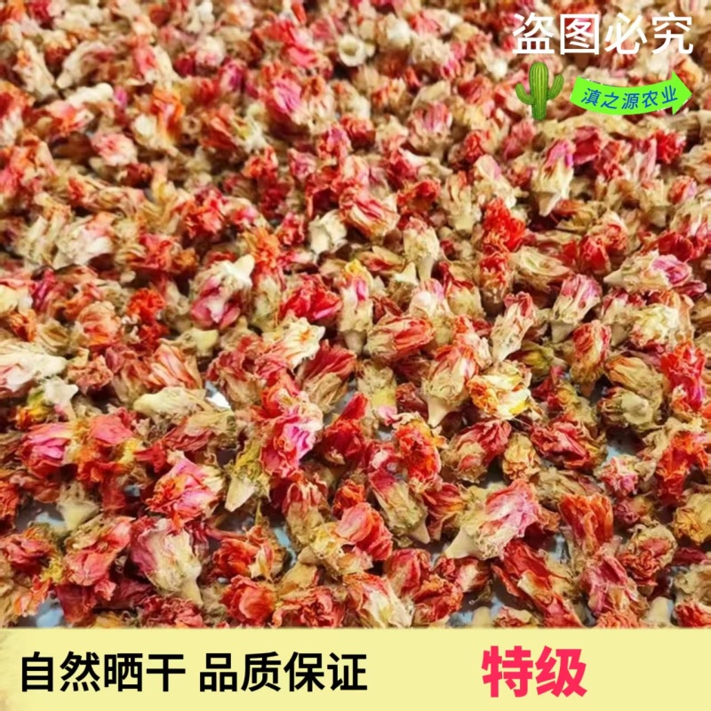 食用仙人掌花养胃中药材仙人掌花茶产地直销批发零售