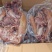 熟牛头肉