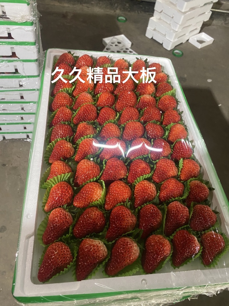 臧香草莓，奶油草莓，产地直发诚信经营，可对接电商商超等