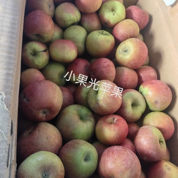 秦皇岛青龙富士