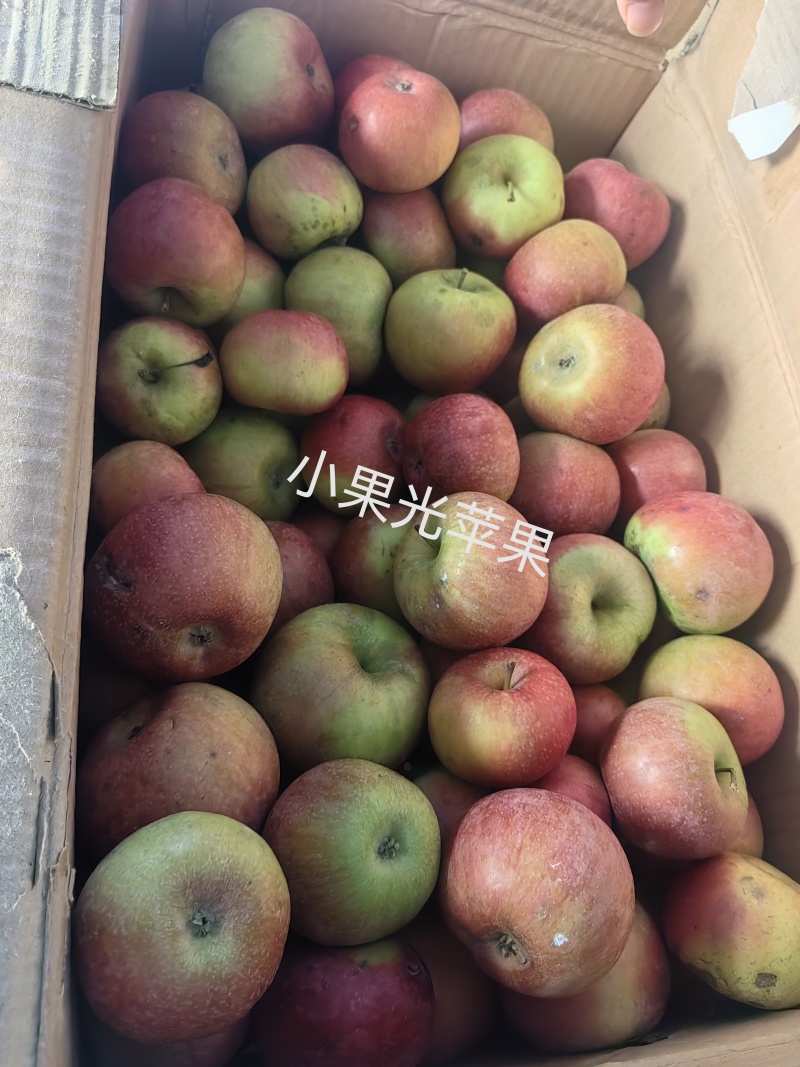 秦皇岛青龙富士