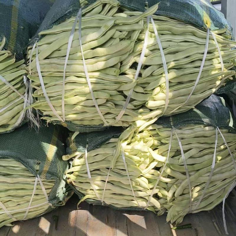 云南白不老豆角新鲜上市价格美丽对接全国脆嫩可口（热卖）