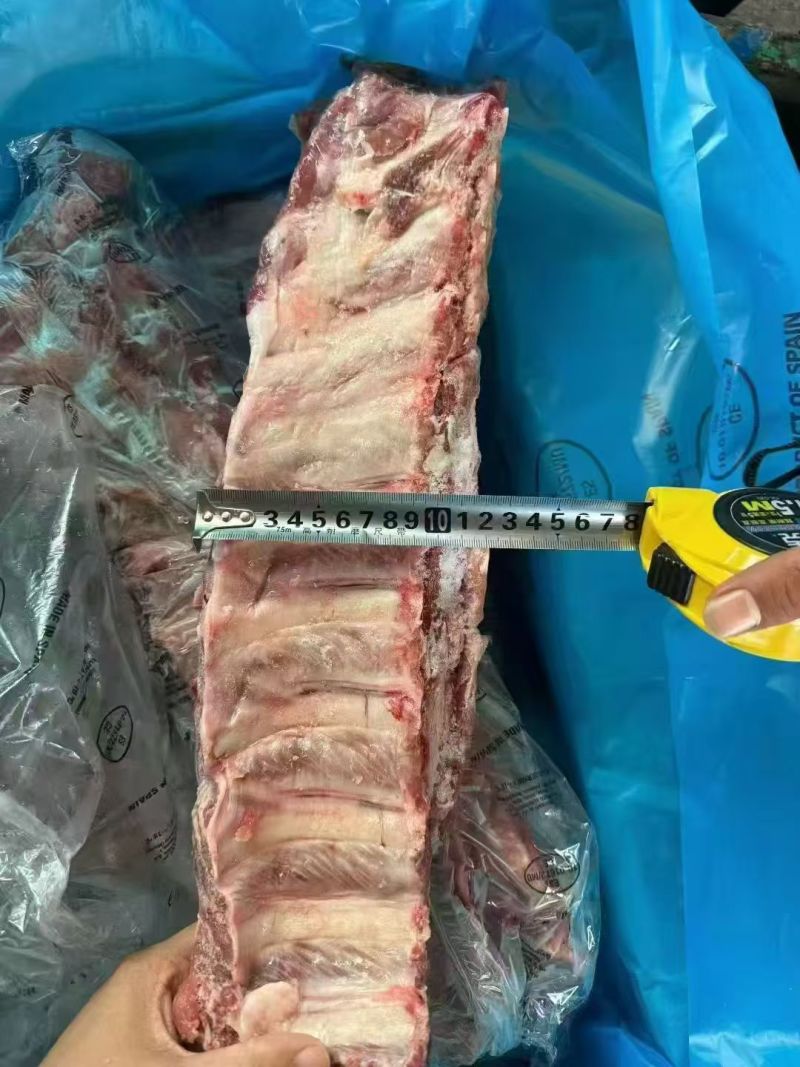 母猪寸排