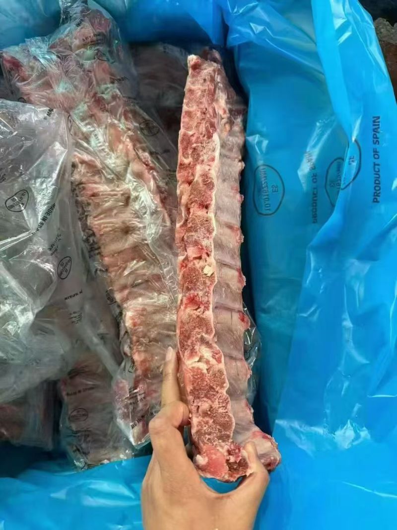 母猪寸排