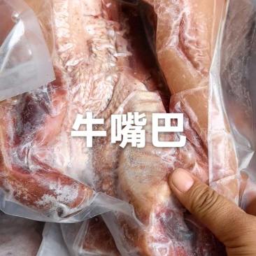 全熟牛嘴巴真空包装干净卫生适合所有人群1件50斤常年批发