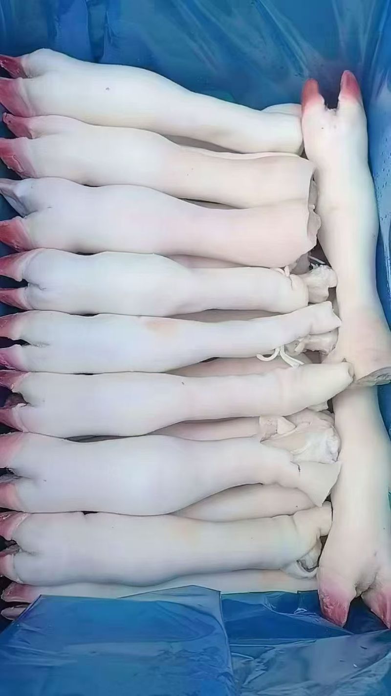 育肥白蹄不抽筋