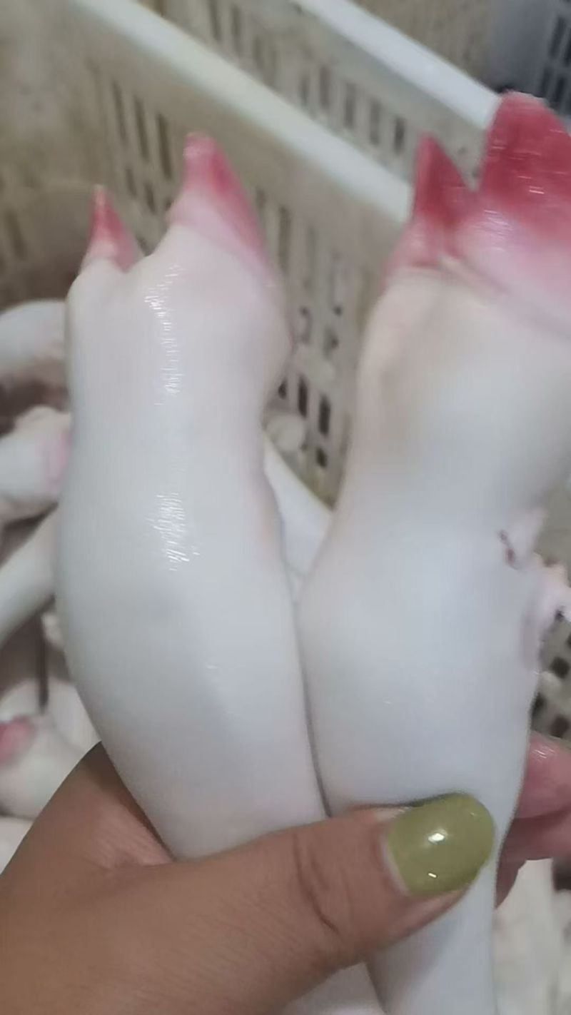 育肥白蹄不抽筋