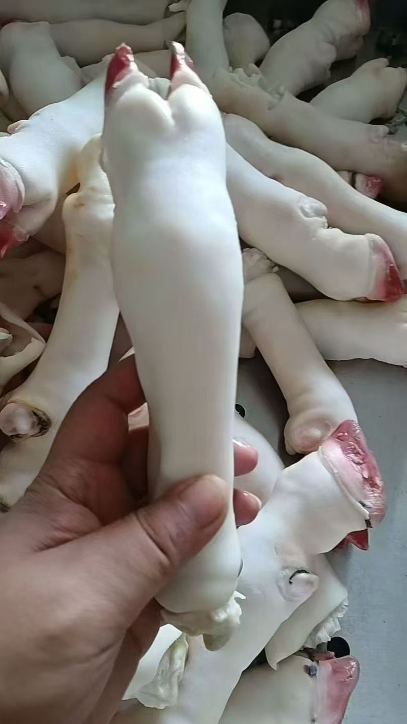 育肥白蹄不抽筋