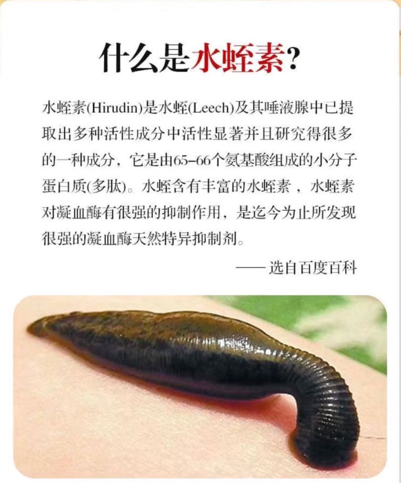 海南省**：医用水蛭，提供技术指导。