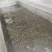海南省**：医用水蛭，提供技术指导。