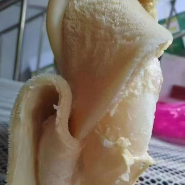 熟牛肚