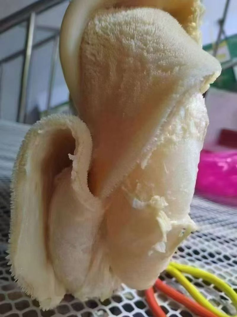 熟牛肚