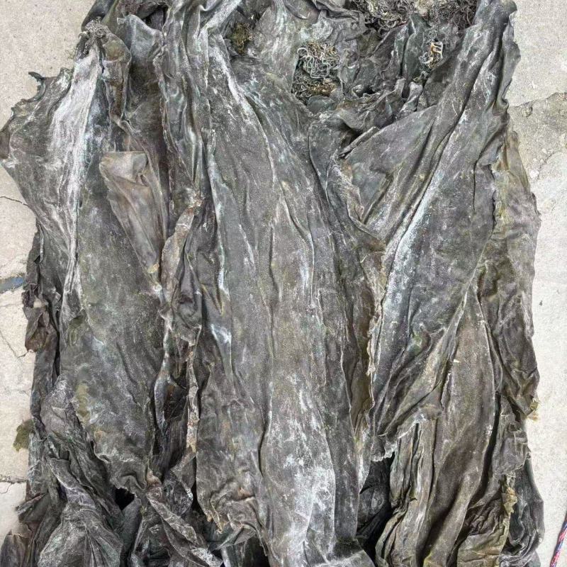 去尾，盐泽，海带头产品很多1件起批常年批发