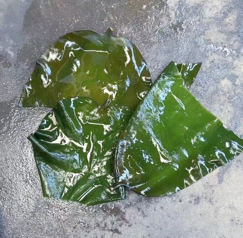 去尾，盐泽，海带头产品很多1件起批常年批发