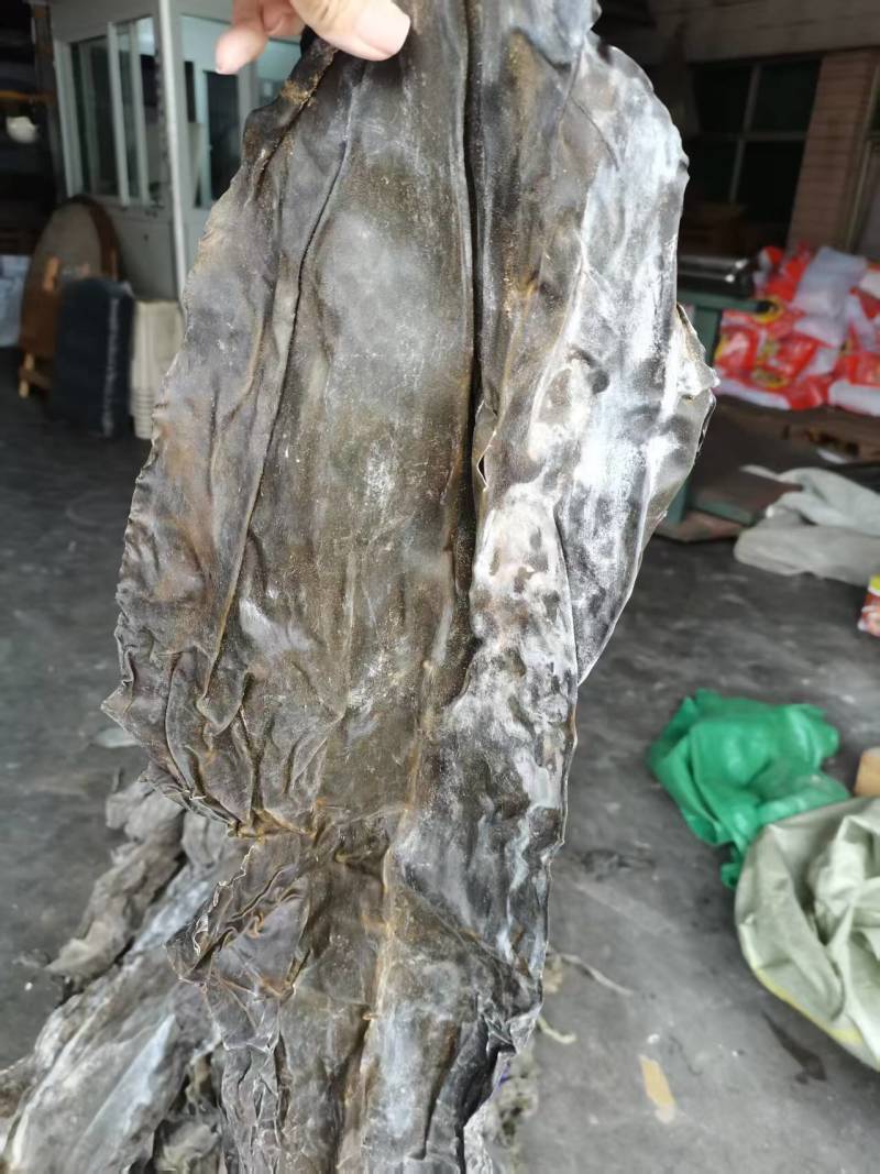 去尾，盐泽，海带头产品很多1件起批常年批发