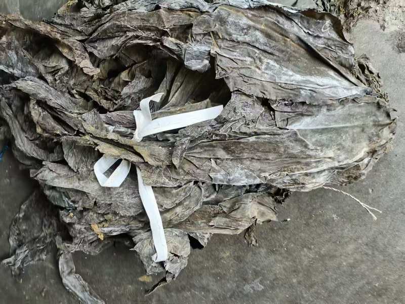 去尾，盐泽，海带头产品很多1件起批常年批发