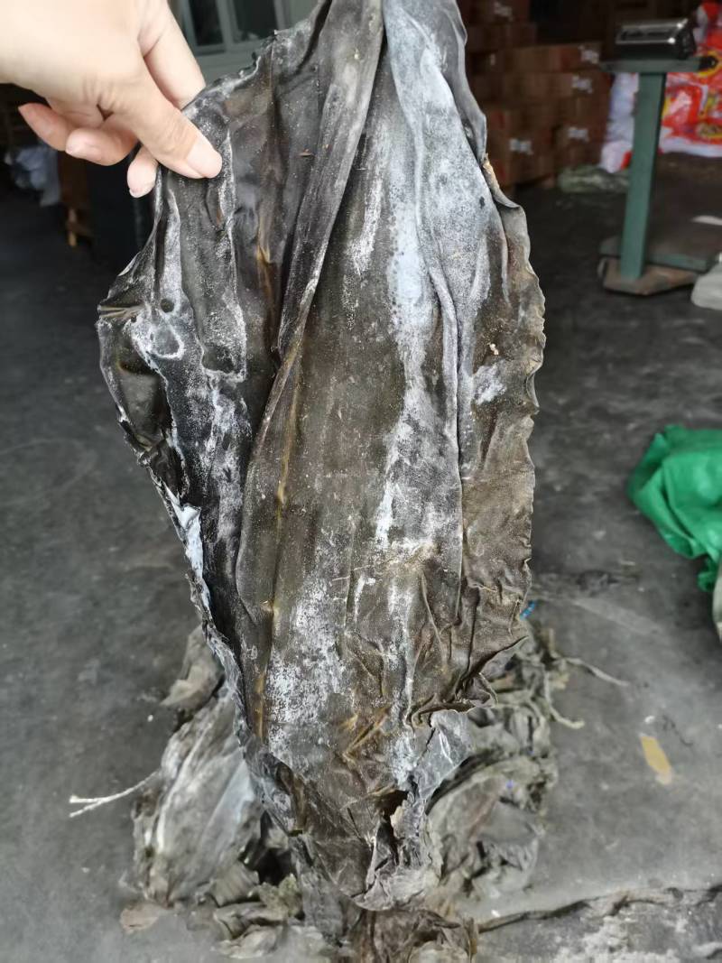 去尾，盐泽，海带头产品很多1件起批常年批发
