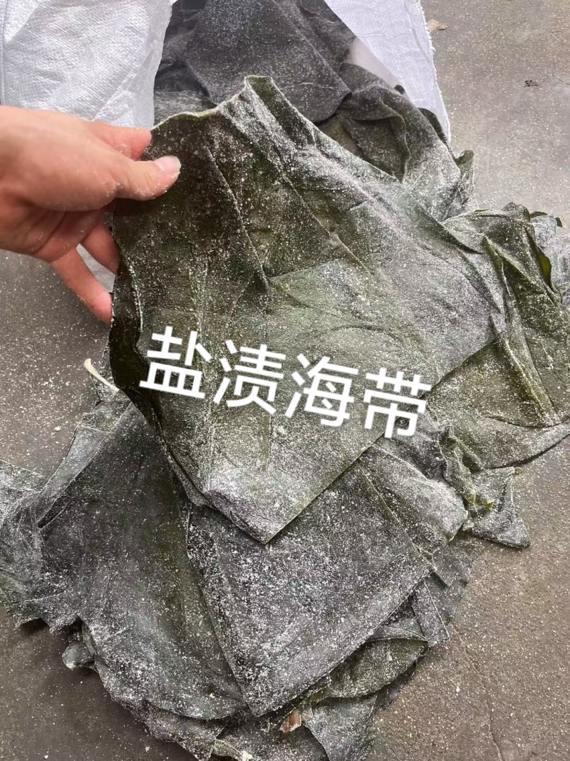去尾，盐泽，海带头产品很多1件起批常年批发