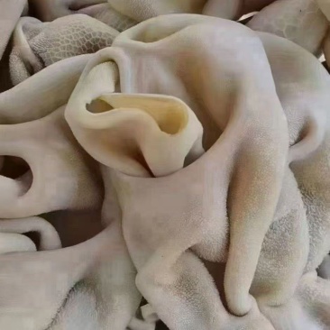 熟羊肚
