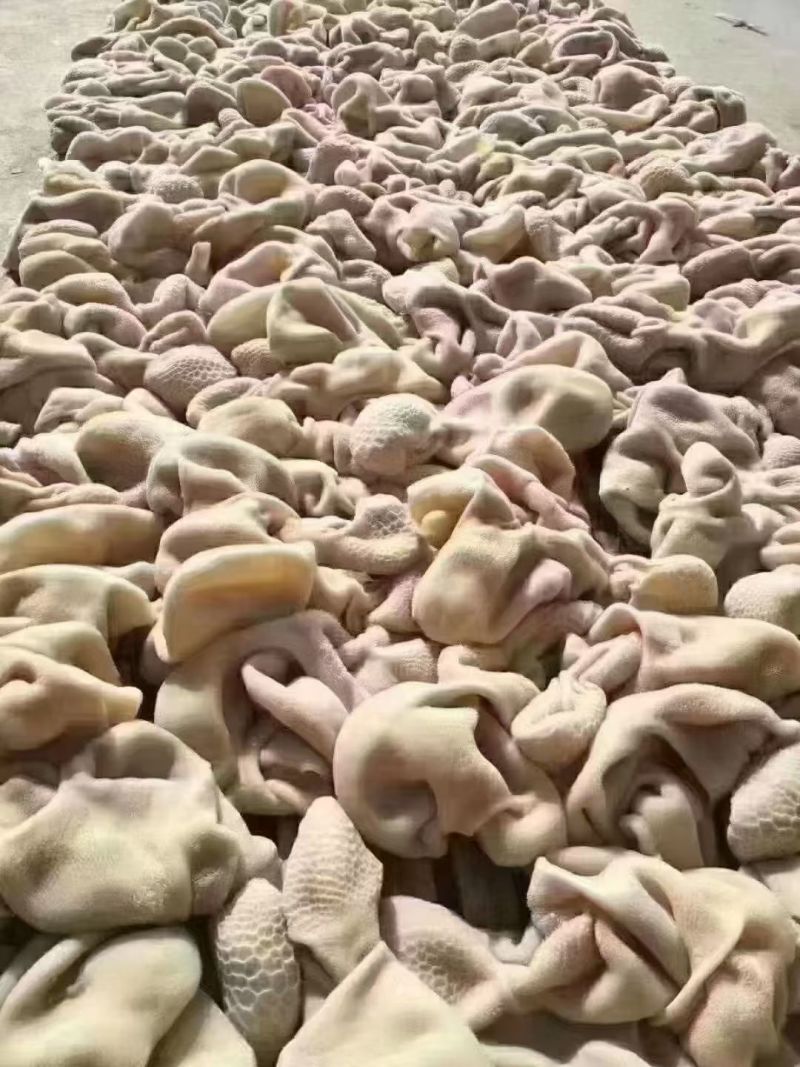 熟羊肚