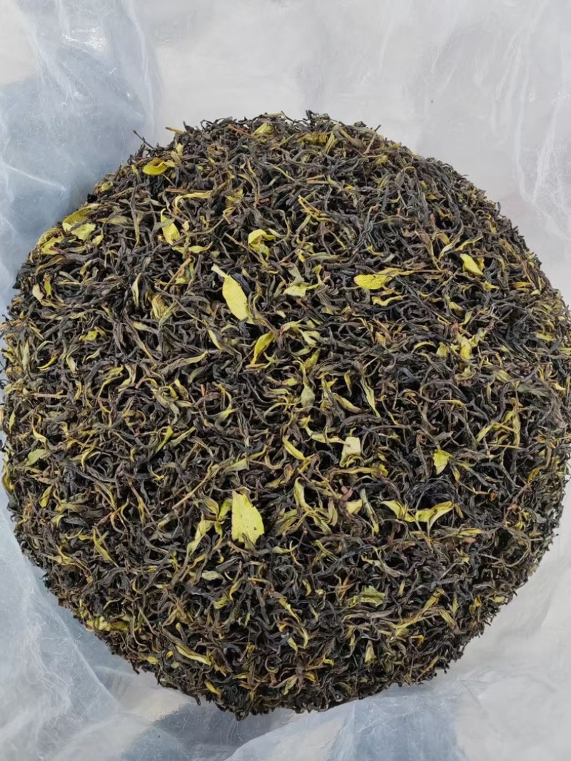 凤凰单丛茶