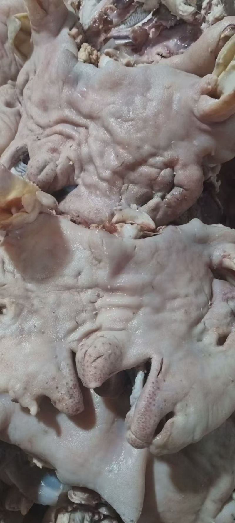 羊头肉