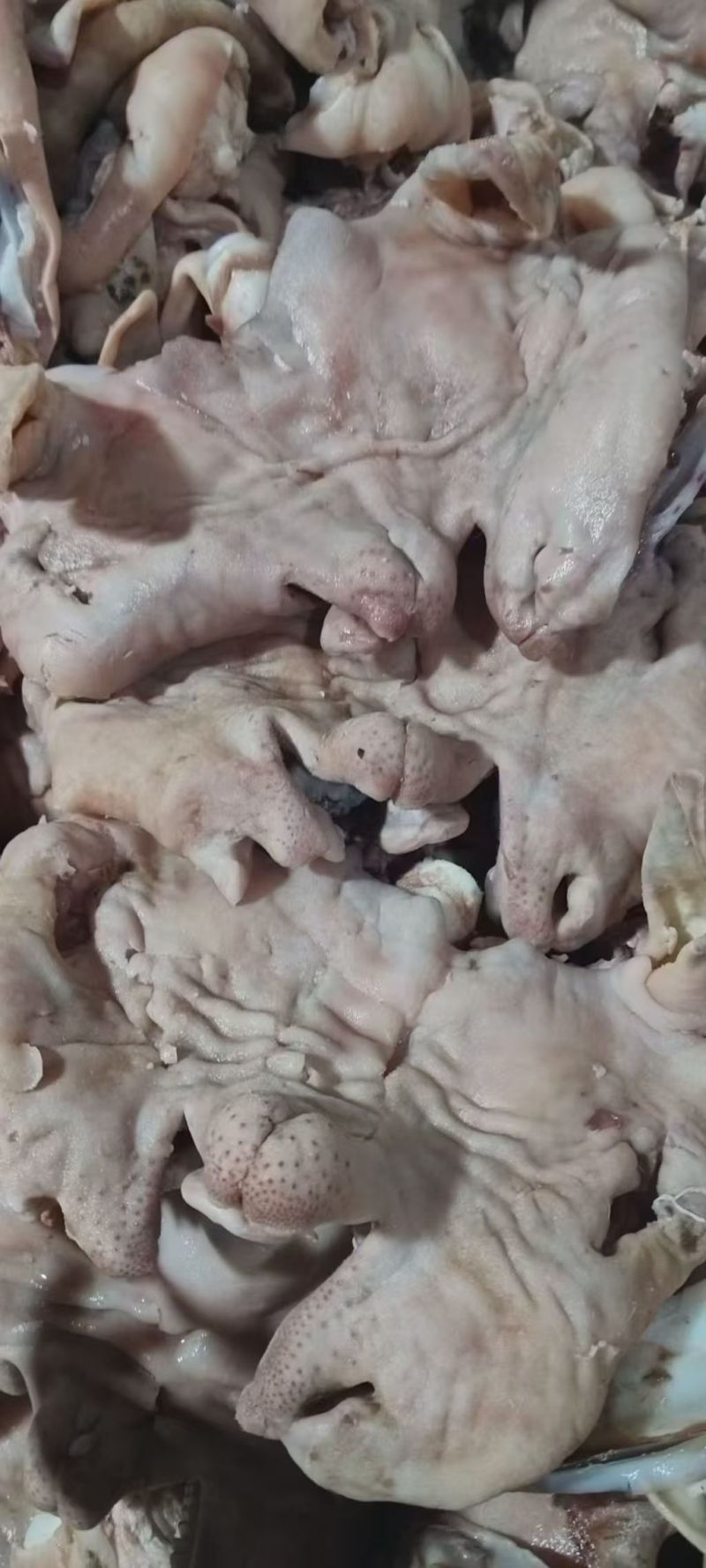 羊头肉