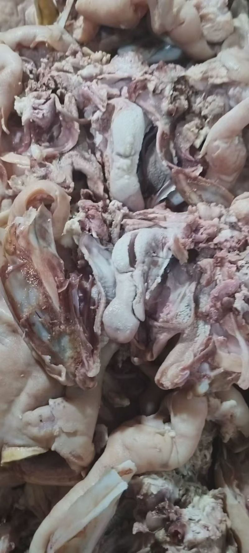羊头肉