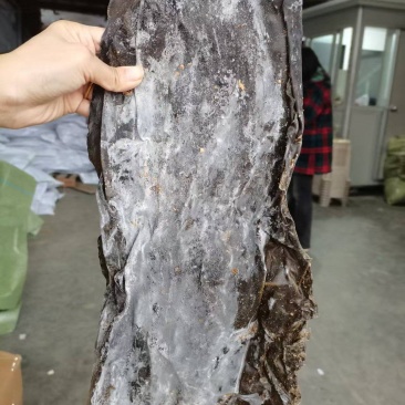 去尾，盐泽，海带头产品很多1件起批常年批发