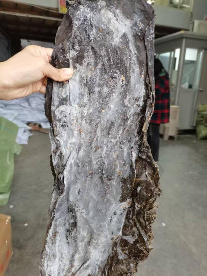 去尾，盐泽，海带头产品很多1件起批常年批发