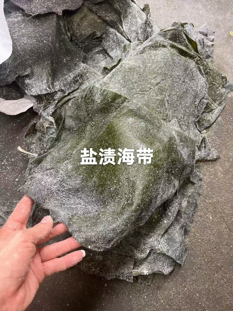 去尾，盐泽，海带头产品很多1件起批常年批发