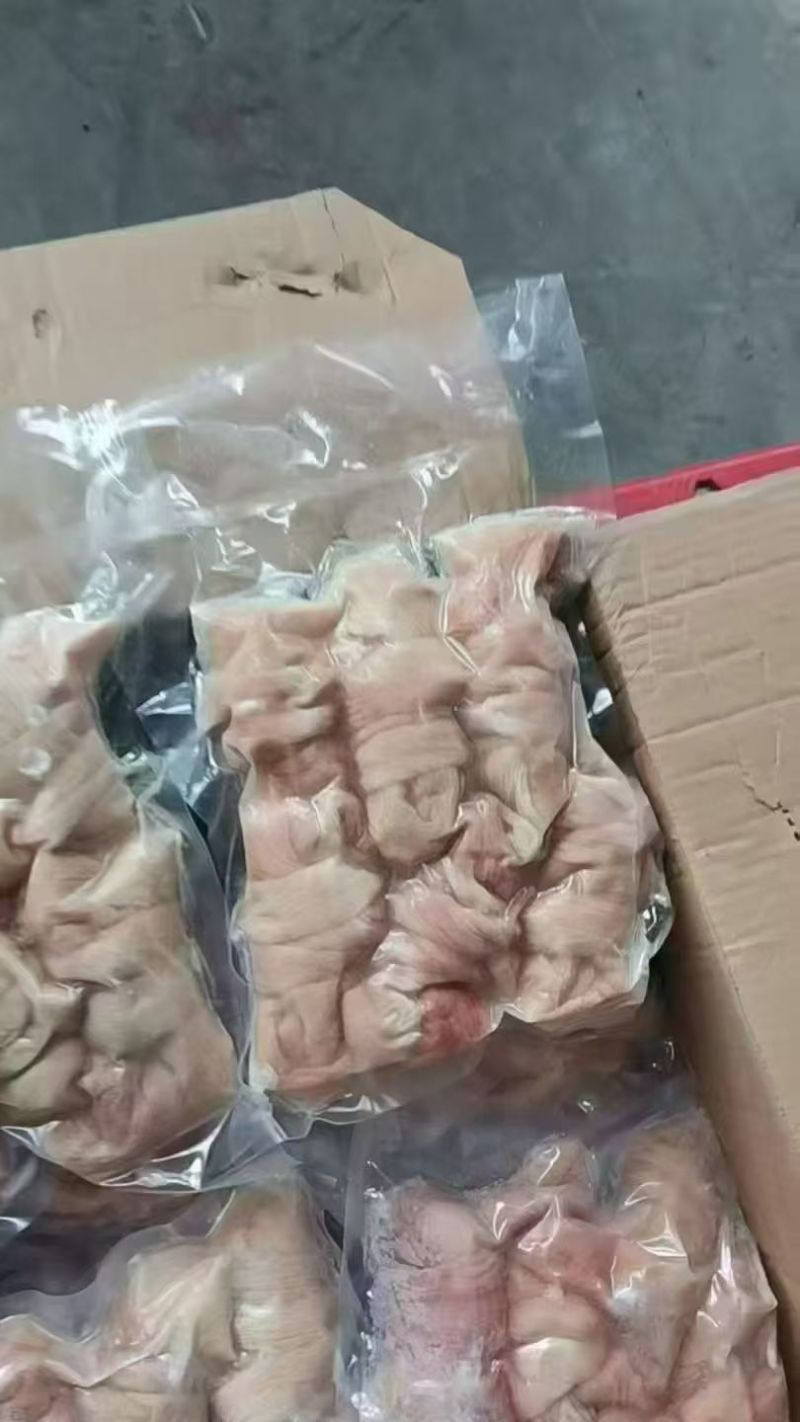 羊捆肠