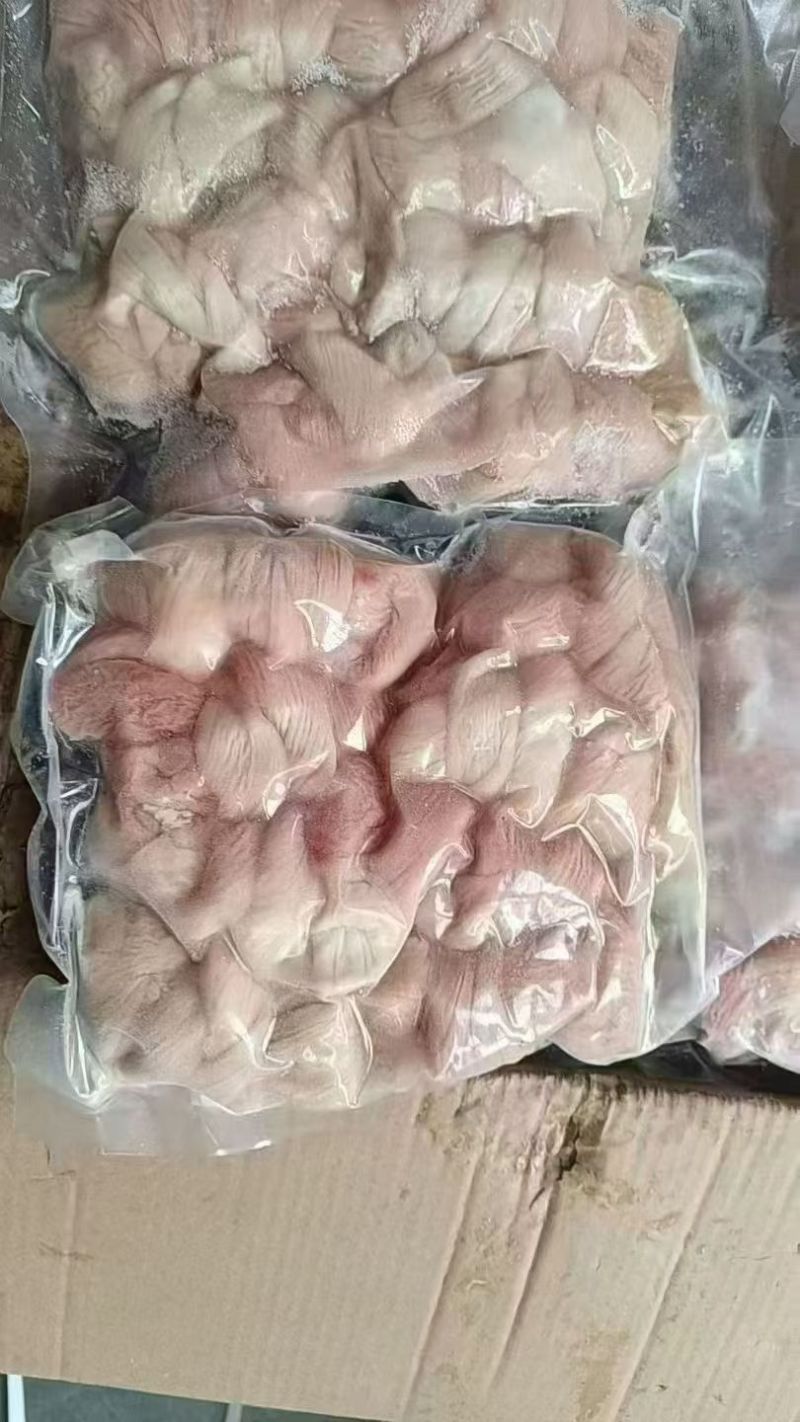 羊捆肠