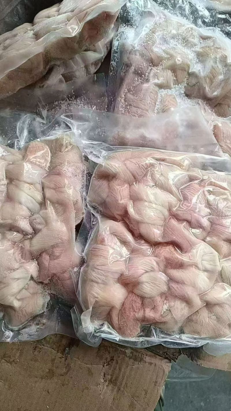 羊捆肠