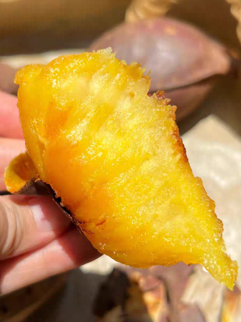 榴莲蜜薯高端蜜薯正宗玛莎莉支持一件代发