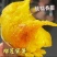 榴莲蜜薯正宗辽宁玛莎莉蜜薯一件代发