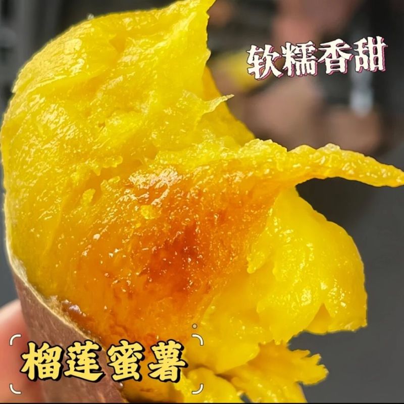 榴莲蜜薯正宗辽宁玛莎莉蜜薯一件代发