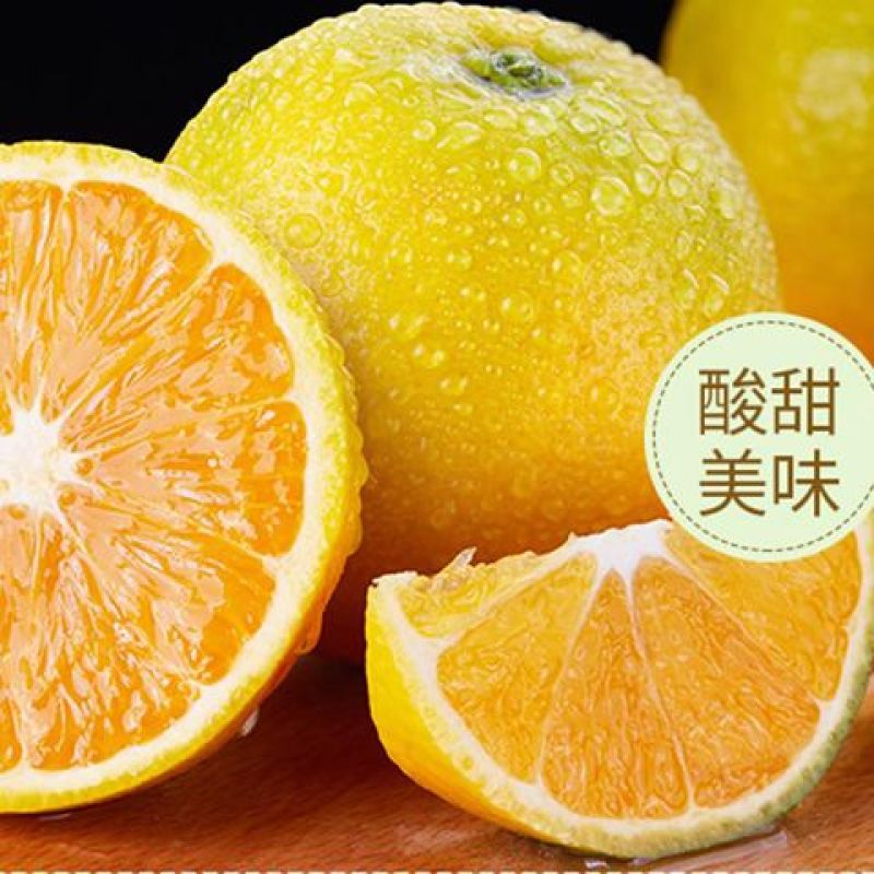 麻阳冰糖橙对接电商社团商超市场外贸出口，农户一