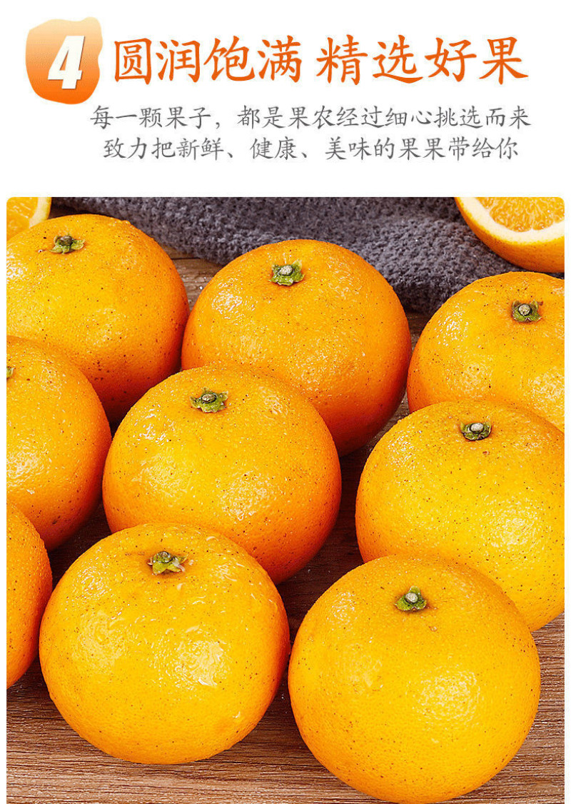 麻阳冰糖橙对接电商社团商超市场外贸出口，农户一
