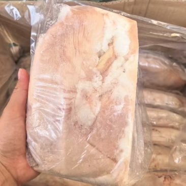 广东猪肚工厂现货10公斤干水14-15个大肚