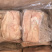 广东猪肚工厂现货10公斤干水14-15个大肚