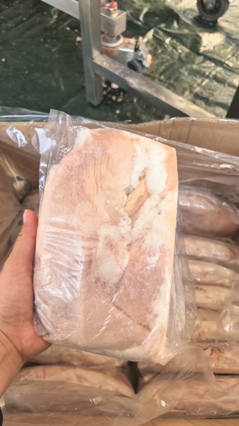 广东猪肚工厂现货10公斤干水14-15个大肚