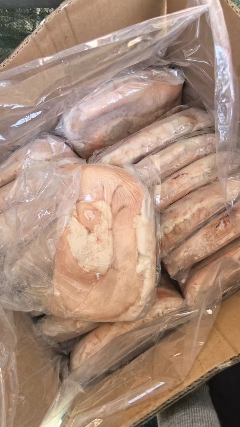 广东猪肚工厂现货10公斤干水14-15个大肚