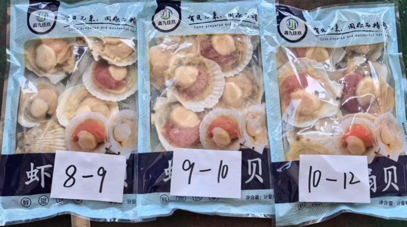 冷冻半壳虾夷扇贝1公斤×10包规格齐全欢迎下单
