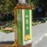 野生山茶油/百年野树山茶油