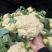 湖北菜花精品松花菜有机花菜货源充足量大从优欢迎联