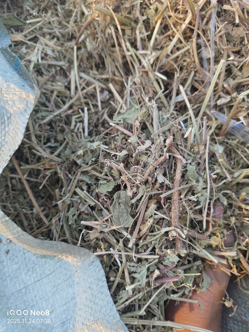 新花生秧春草
