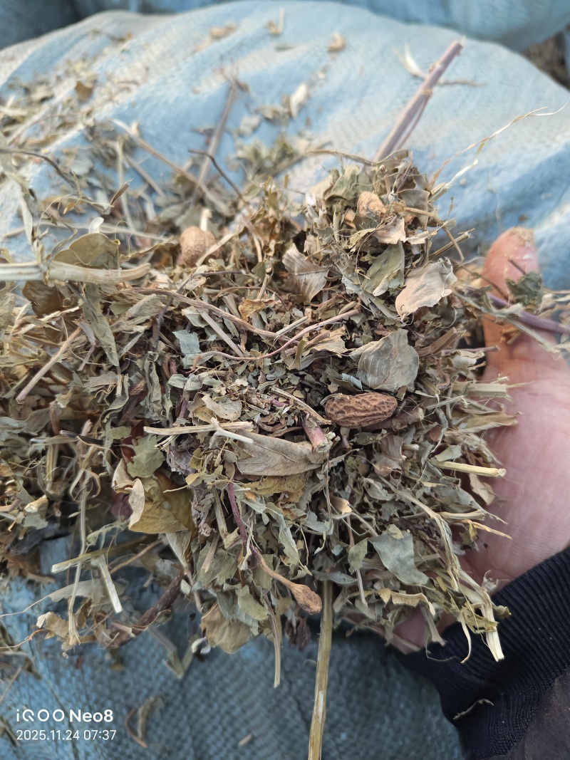 新花生秧春草
