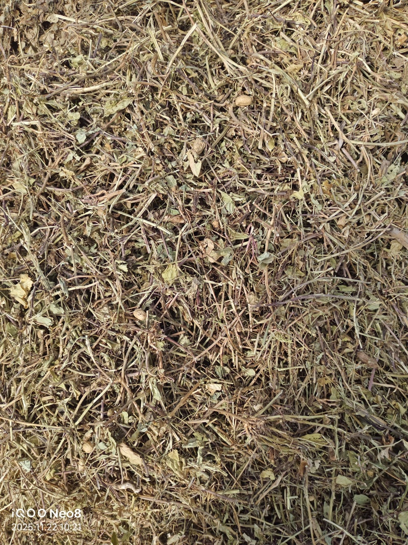 新花生秧春草